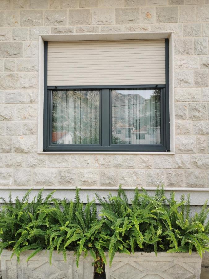 Apartment Benvenuti Kotor Ngoại thất bức ảnh