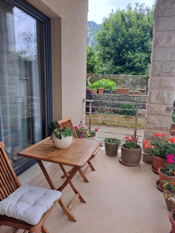 Apartment Benvenuti Kotor Ngoại thất bức ảnh