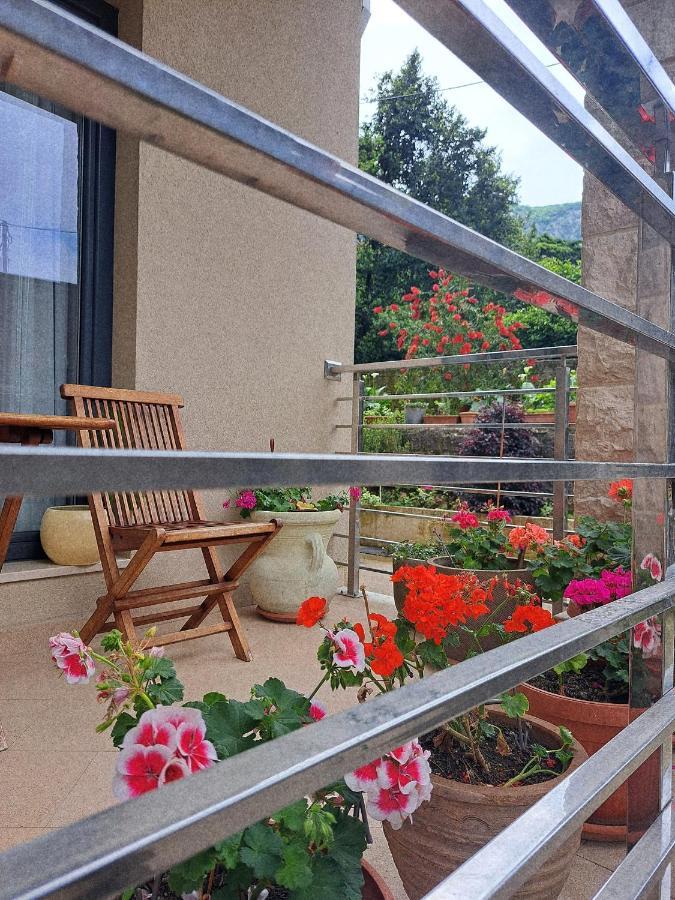 Apartment Benvenuti Kotor Ngoại thất bức ảnh