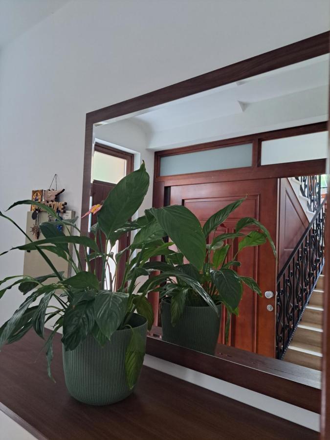 Apartment Benvenuti Kotor Ngoại thất bức ảnh