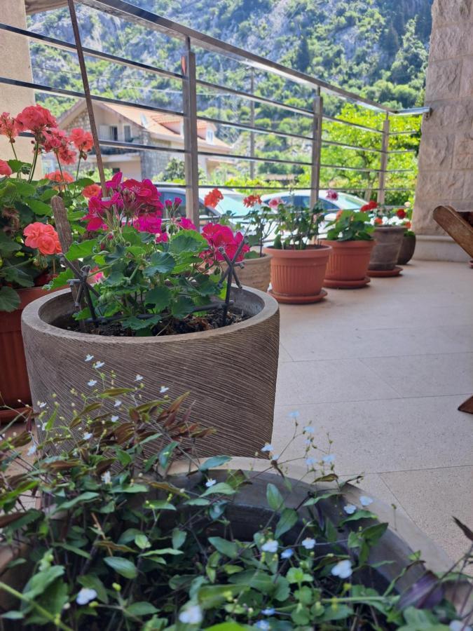 Apartment Benvenuti Kotor Ngoại thất bức ảnh