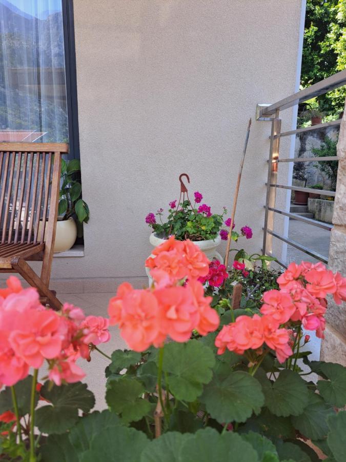 Apartment Benvenuti Kotor Ngoại thất bức ảnh