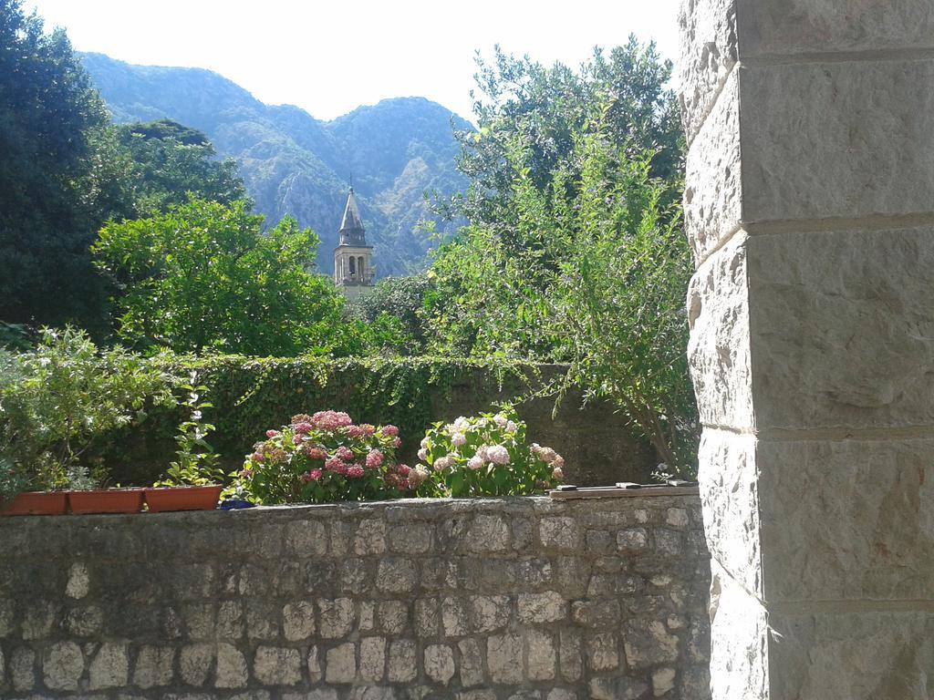 Apartment Benvenuti Kotor Ngoại thất bức ảnh